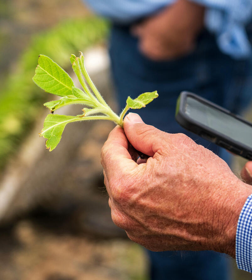 Biologicals and synthetics: development through commercialization, Phys-chem & Tox, Performance enhancement, Field testing...